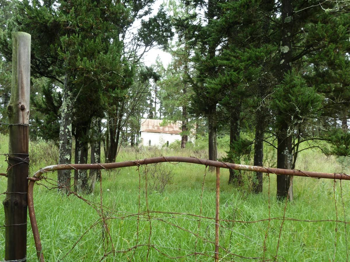 1. Overview