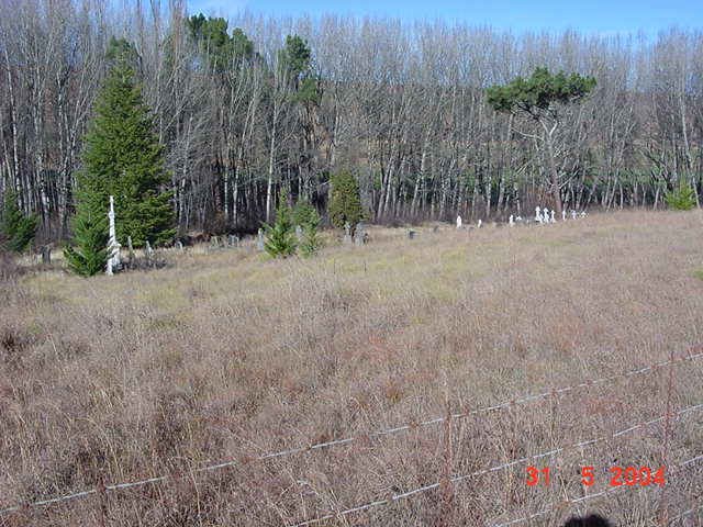 1. Overview
