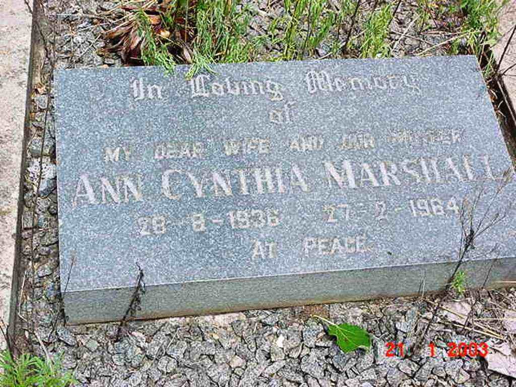 MARSHALL Ann Cynthia 1936-1964