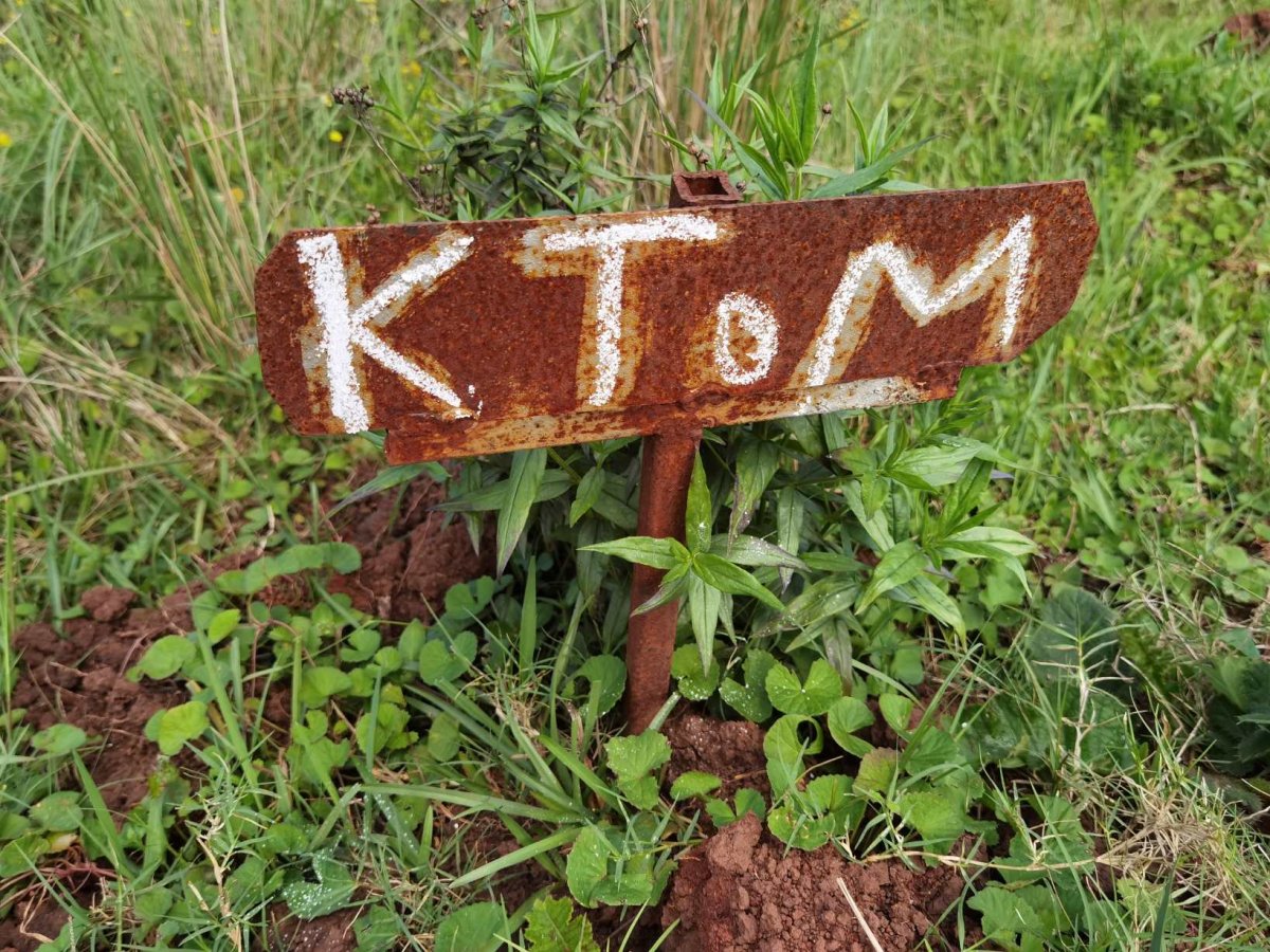 TOM K.