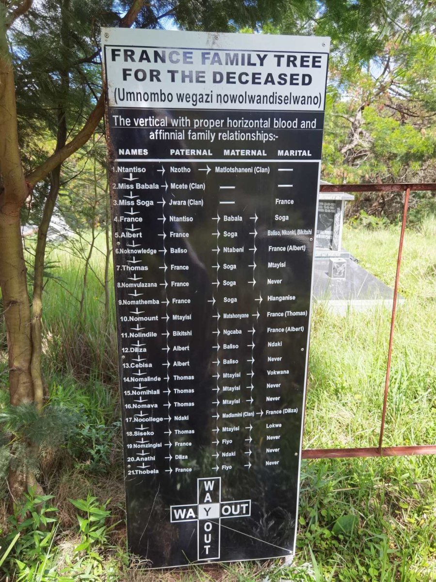 3. FRANCE family tree for the deceased