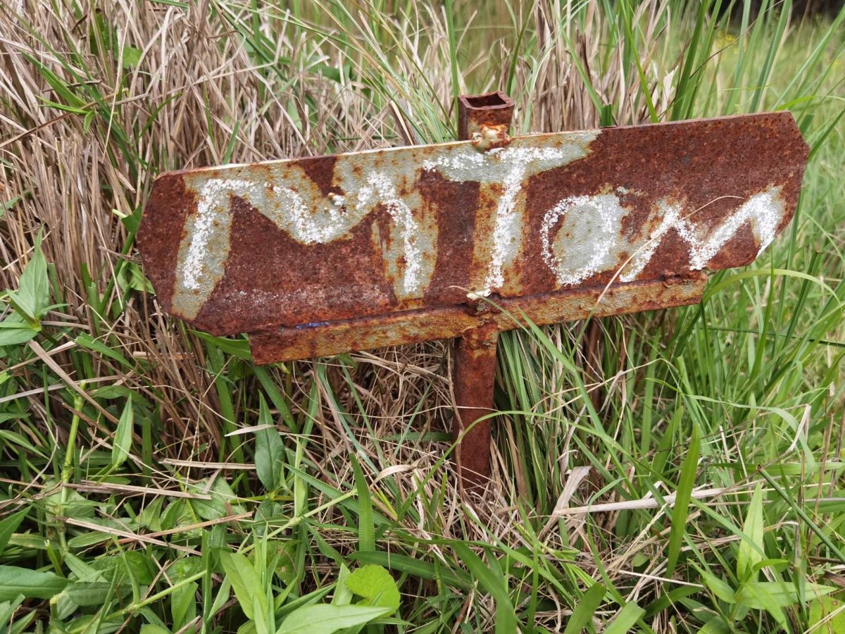 TOM M.
