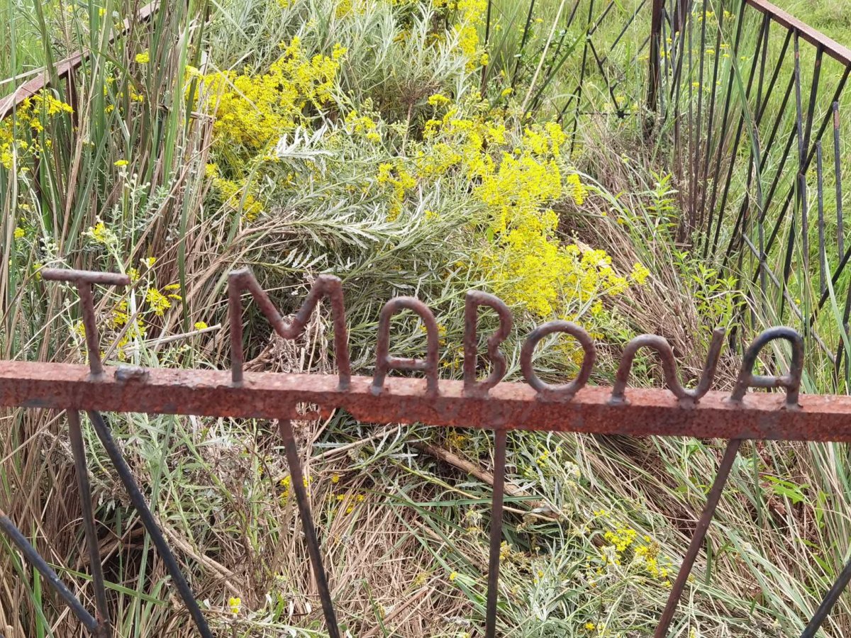 MABONA T.
