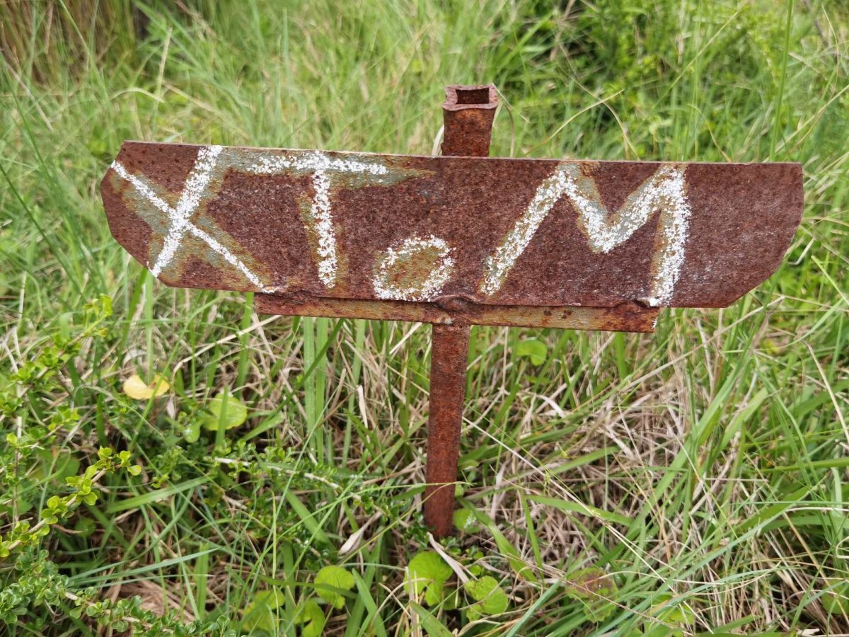 TOM X.