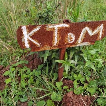 TOM K.