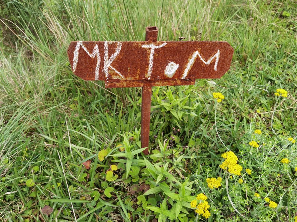 TOM M.K.