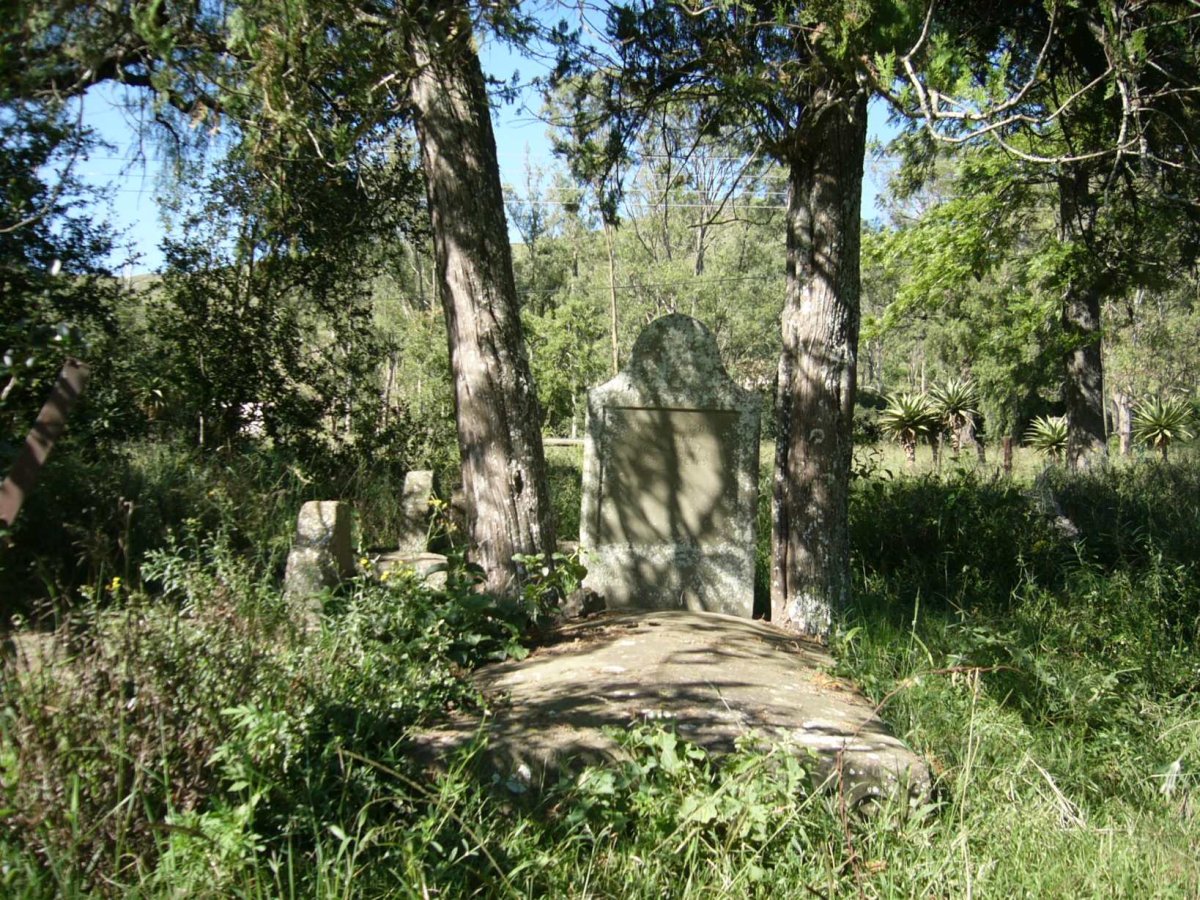 2. Overview