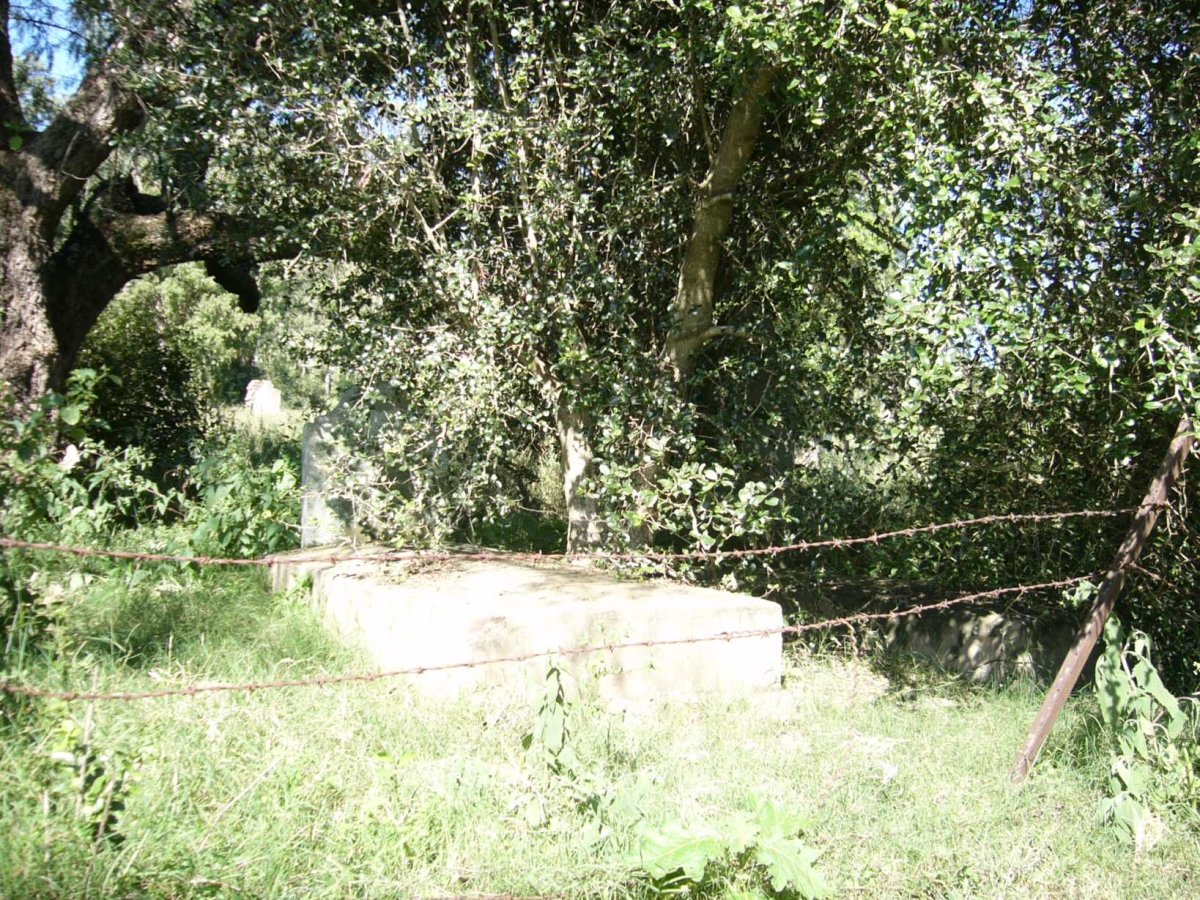 1. Overview