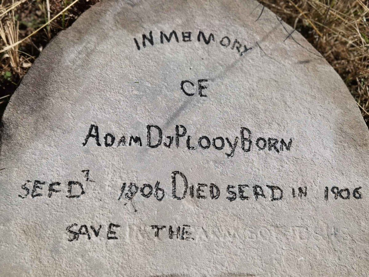 PLOOY Adam, du 1906-1906