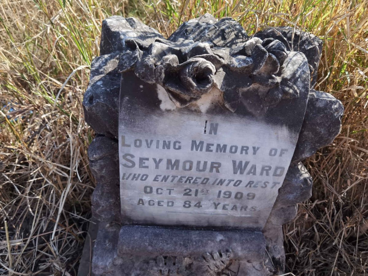 WARD Seymour -1909