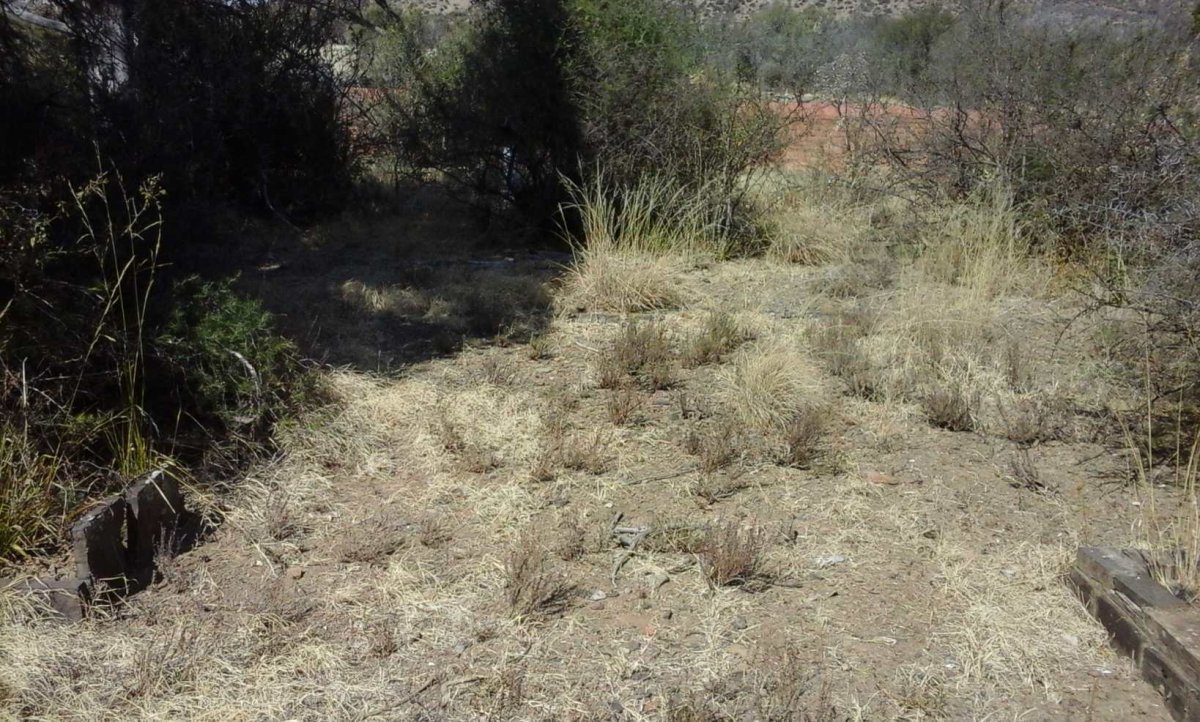 2. Overview inside walled section