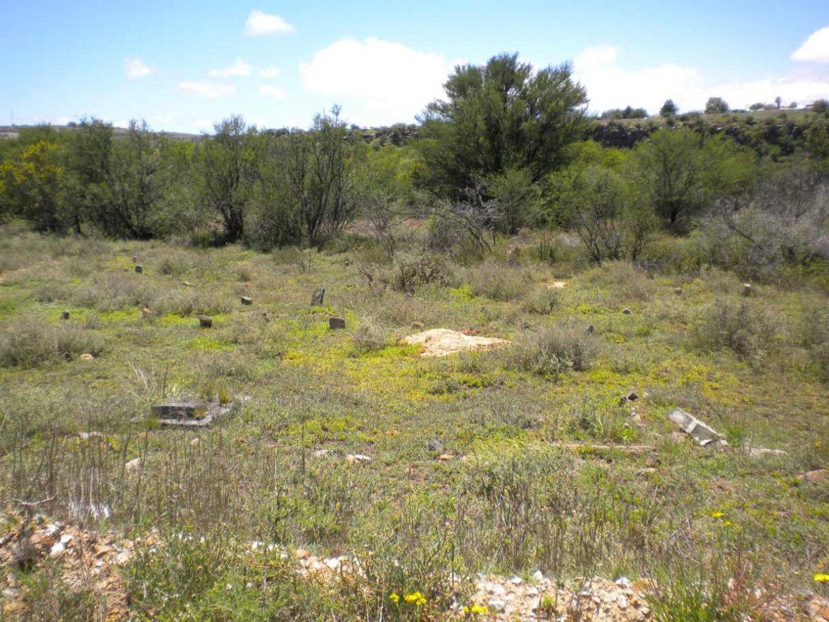 3. Overview
