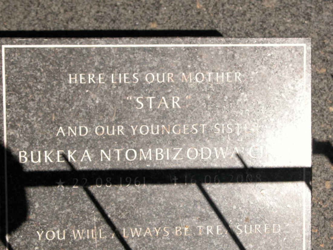 ? Bukeka Ntombizodwa 1961-2008