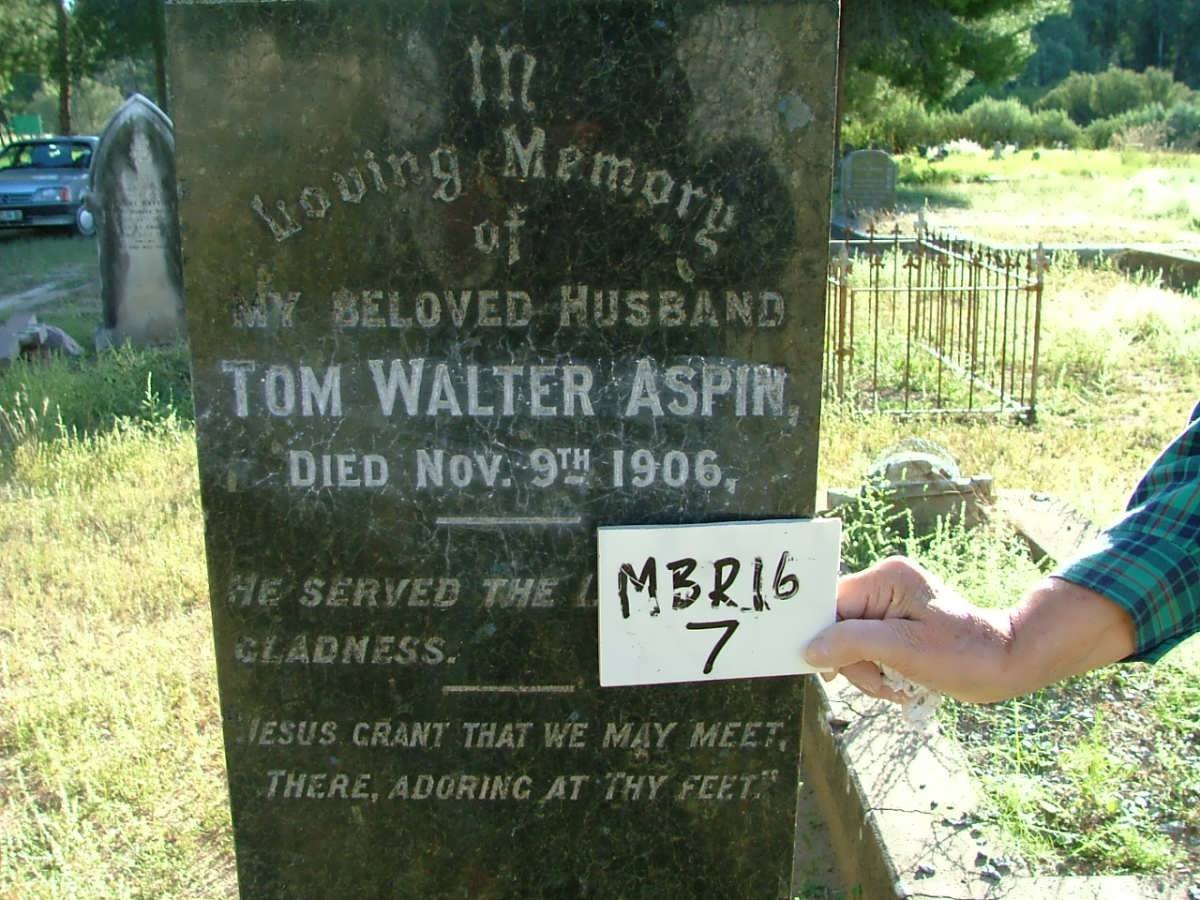 ASPIN Tom Walter -1906