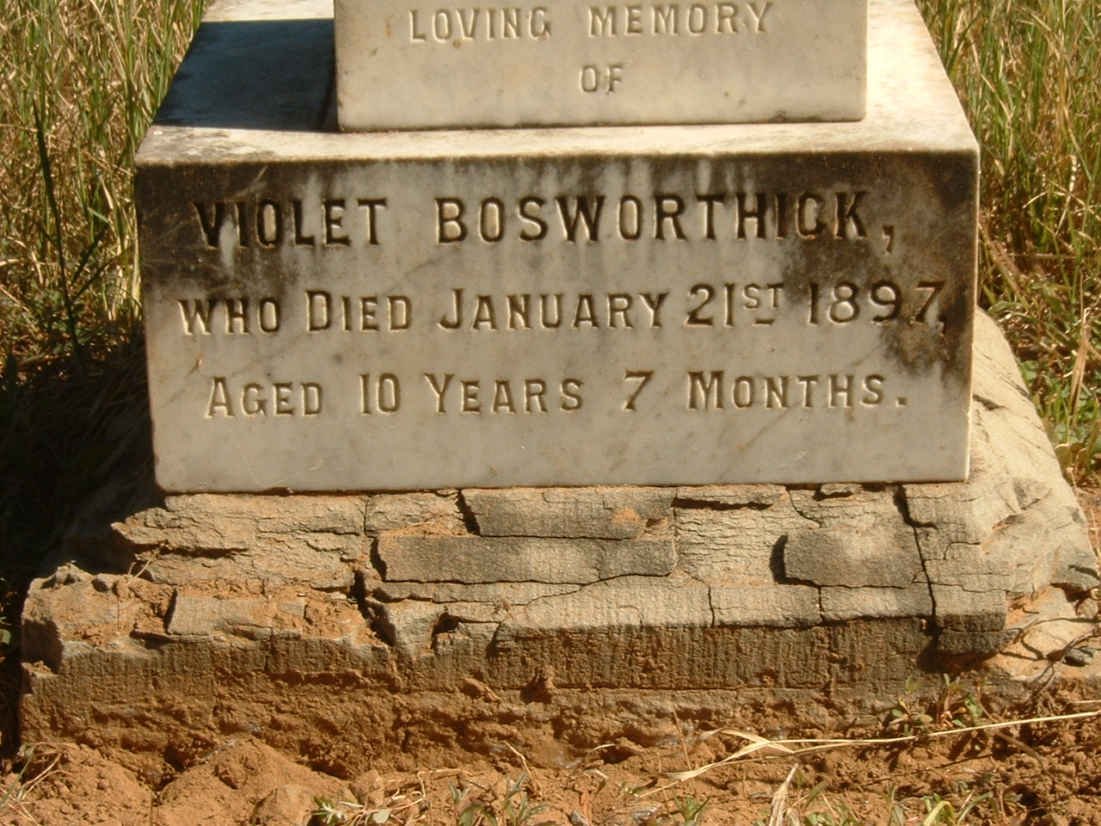 BOSWORTHICK Violet -1897