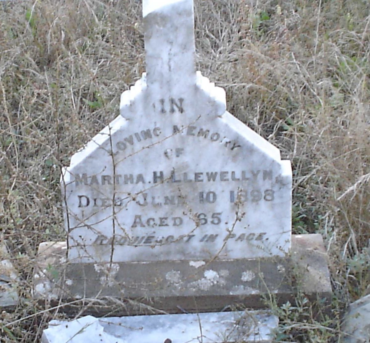 LLEWELLYN Martha H. -1898
