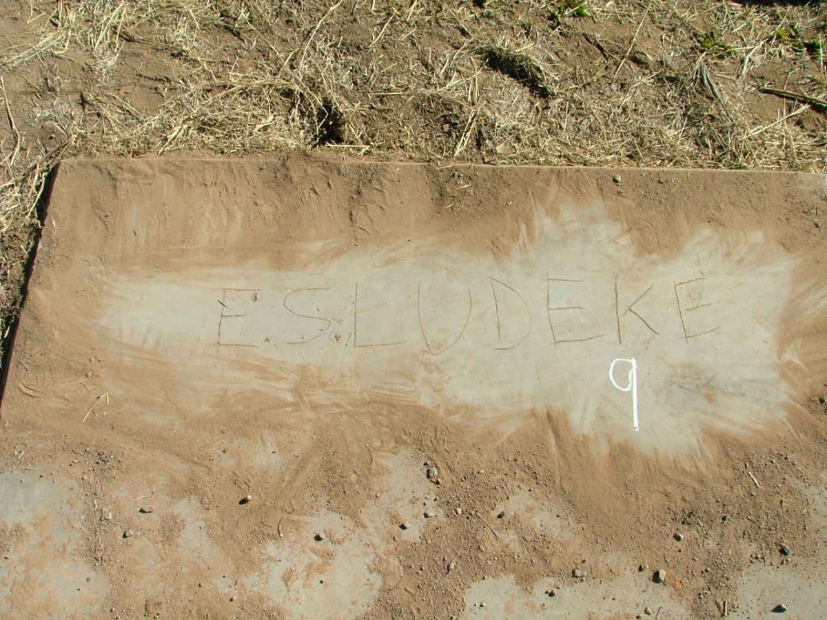 LUDEKE E.S.