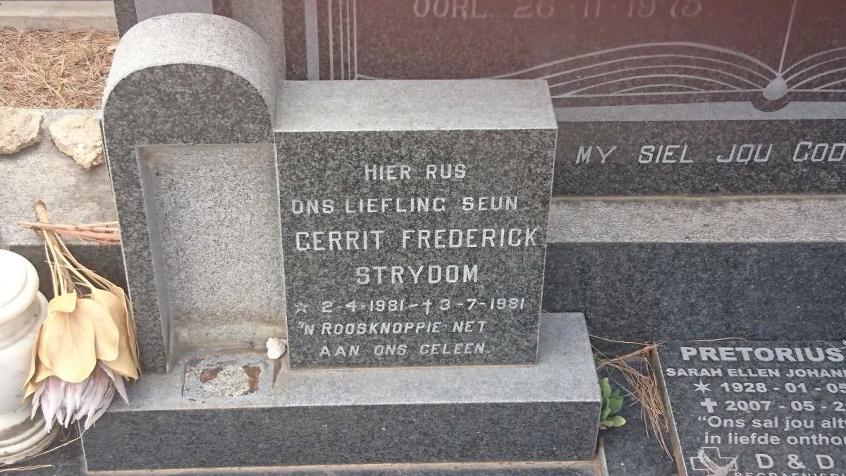 STRYDOM Gerrit Frederick 1981-1981
