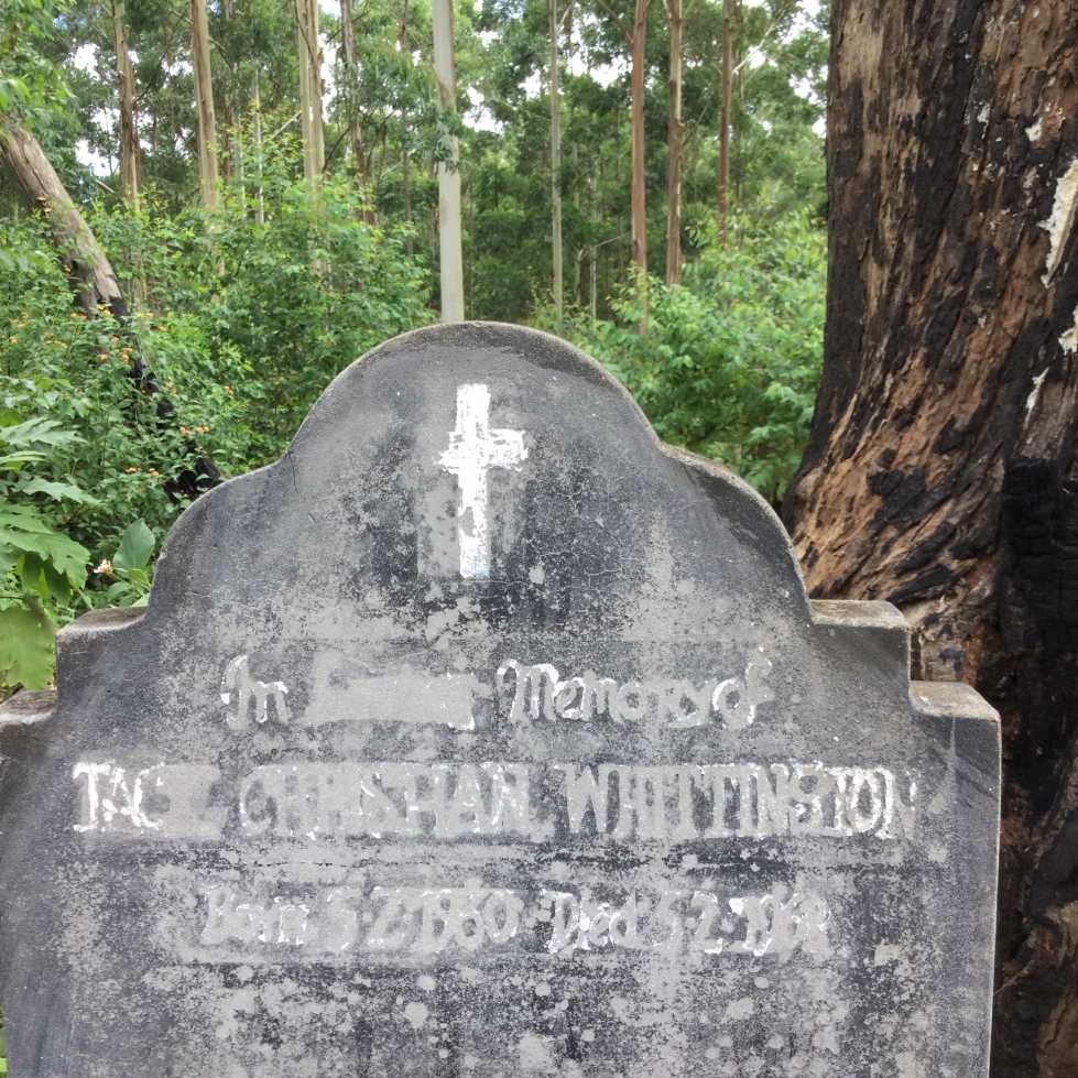 WHITTINGTON Jack Christian 1960-196?