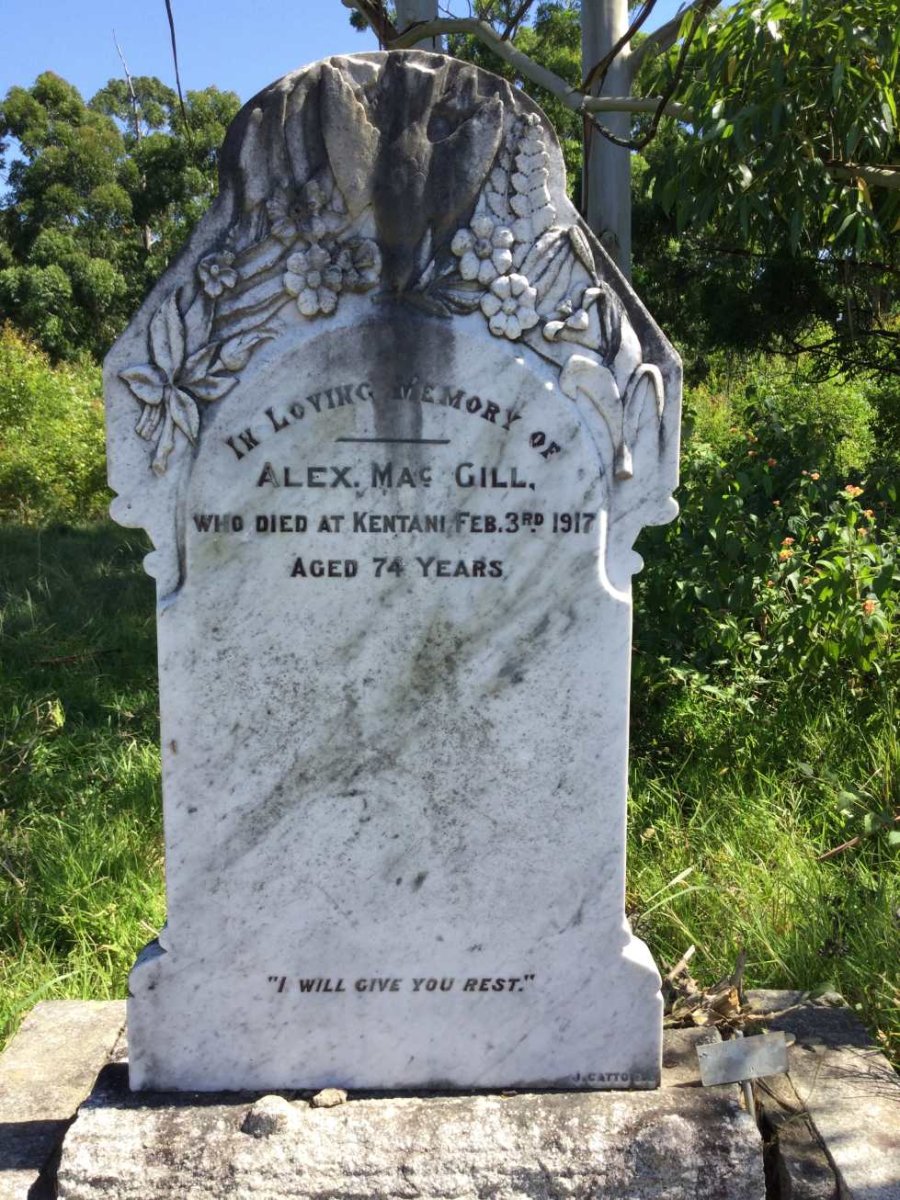 MACGILL Alex -1917