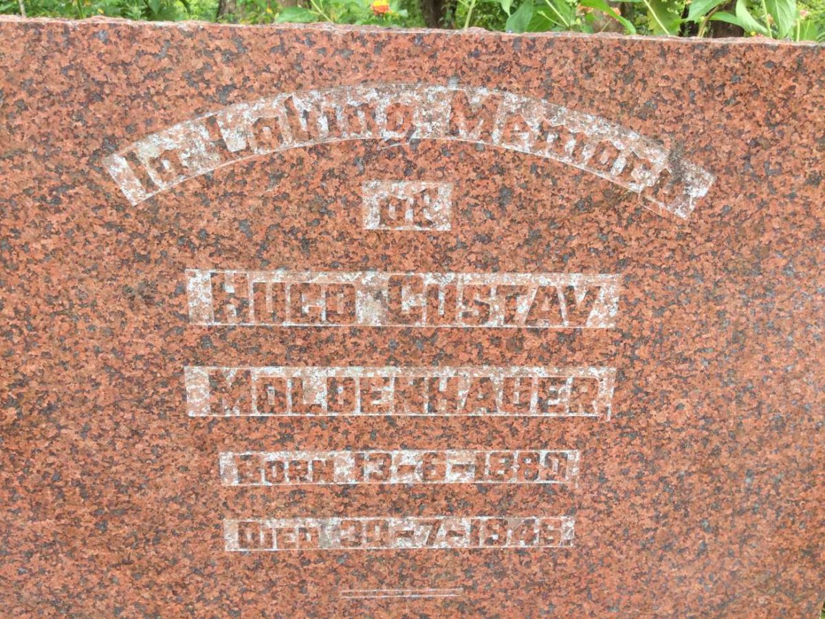 MOLDENHAUER Hugo Gustav 1880-1946