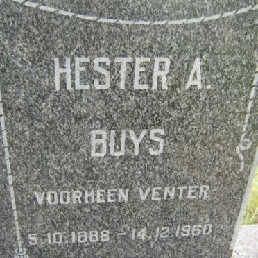 BUYS Hester A. formerly VENTER 1888-1960