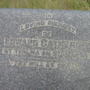 CATHERINE Edward -1906