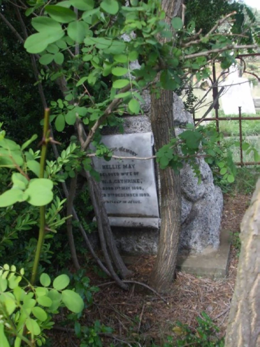CATHRINE Nellie May 1868-1893
