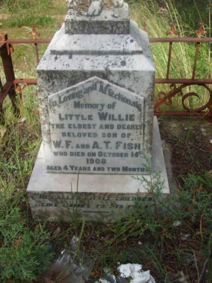 FISH Willie -1908