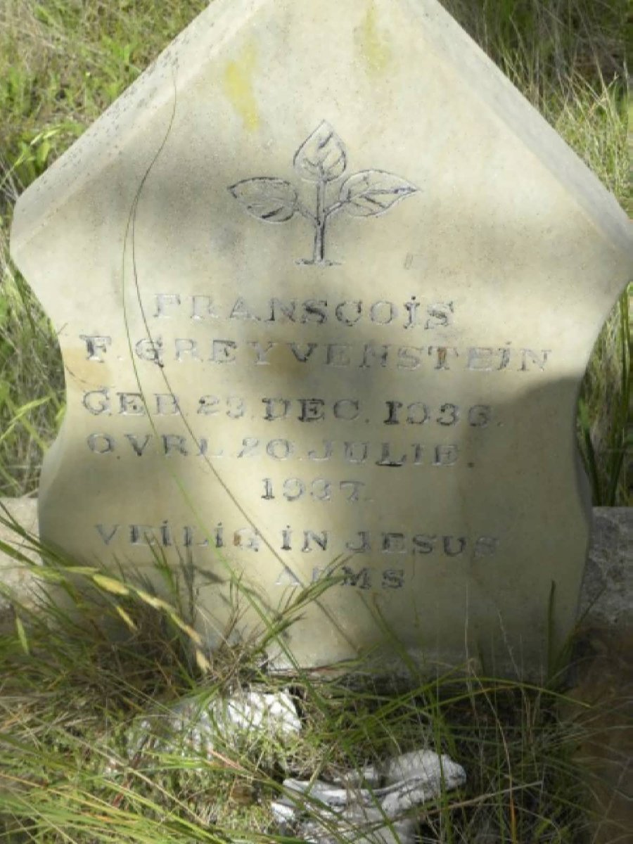 GREYVENSTEIN Francois F. 1936-1937