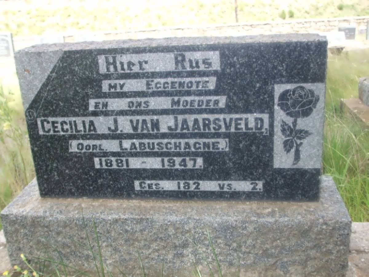 JAARSVELD Cecilia J., van nee LABUSCHAGNE 1881-1947