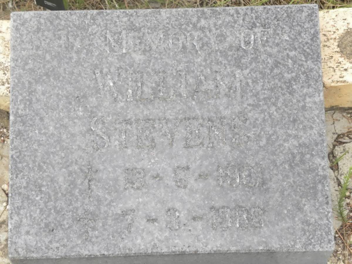 STEVENS William 1901-1986