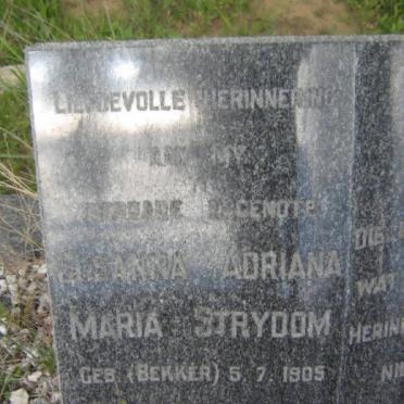 STRYDOM Susanna Adriana Maria nee BEKKER 1905-1958