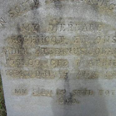 VOSLOO Stefanus Johannes 1874-1937