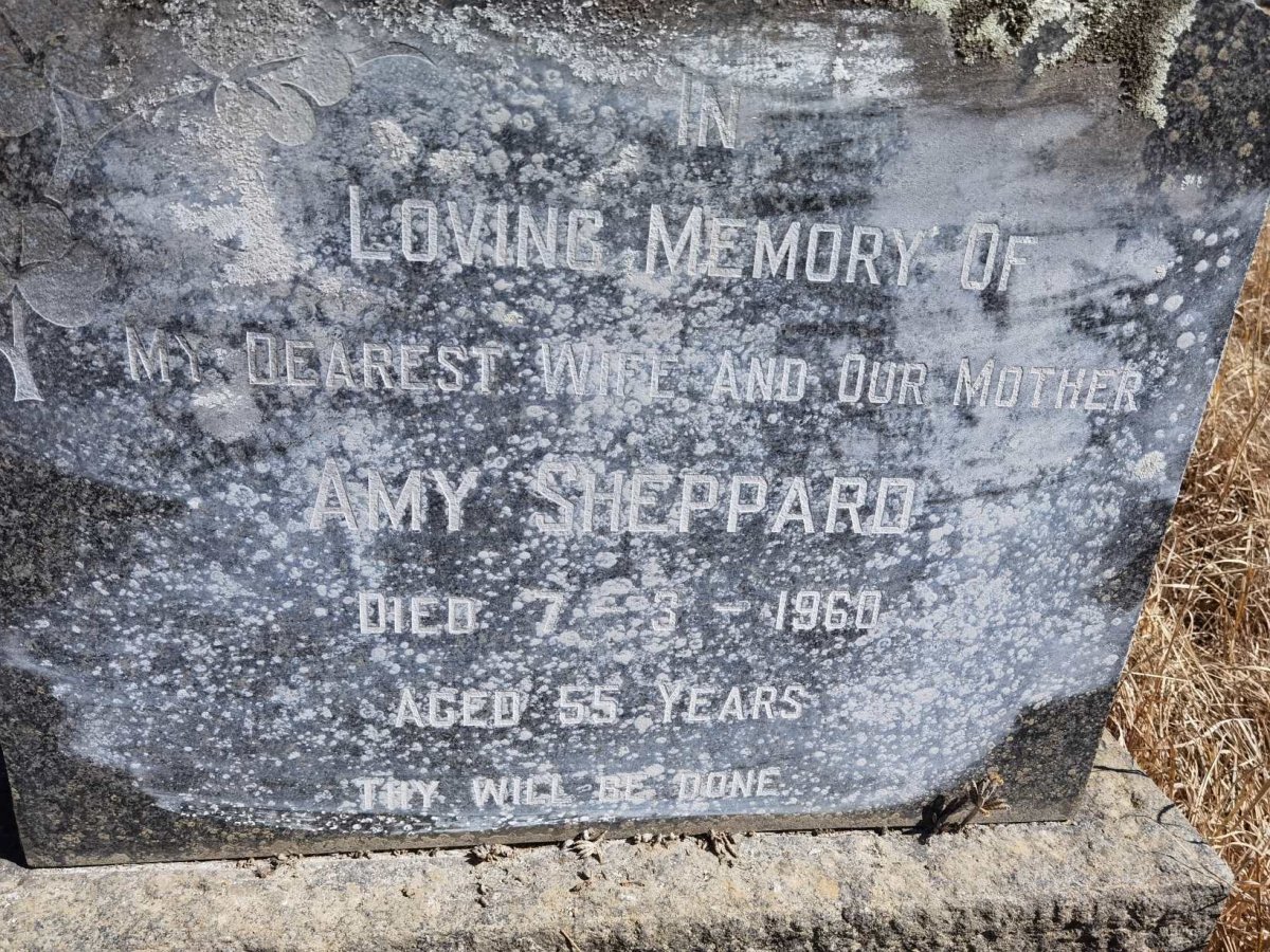 SHEPPARD Amy -1960