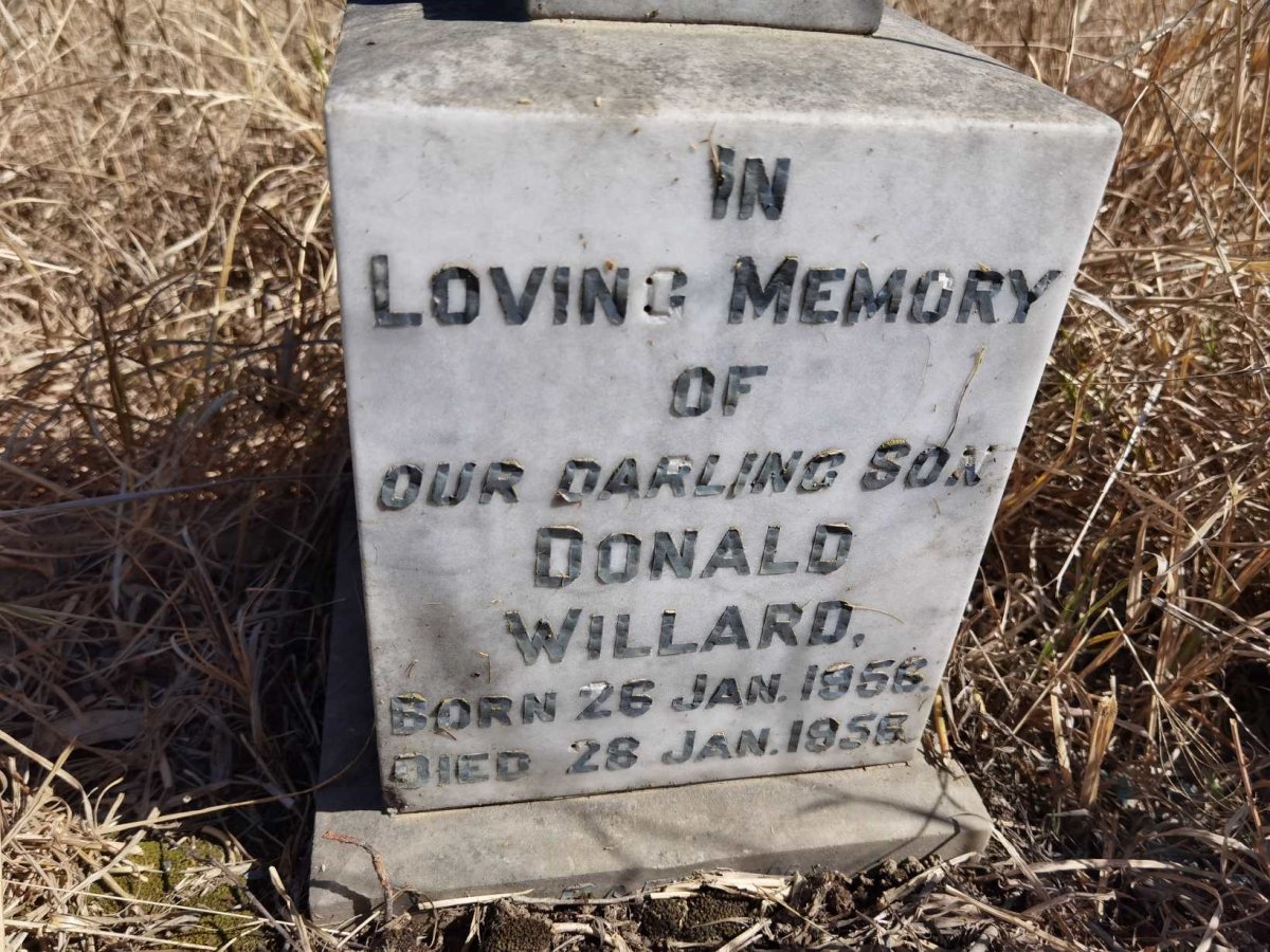 WILLARD Donald 1956-1956