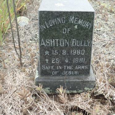 ? Ashton 1980-1981