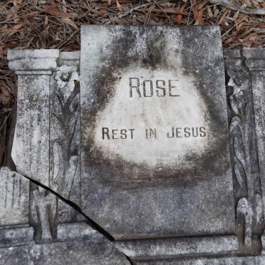 ? Rose