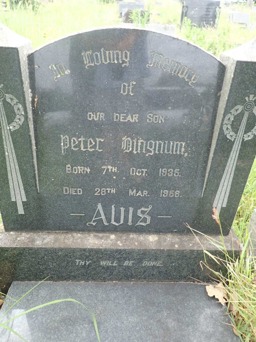 AVIS Peter Bingnum 1935-1958