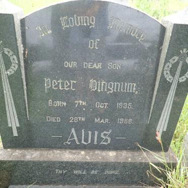 AVIS Peter Bingnum 1935-1958