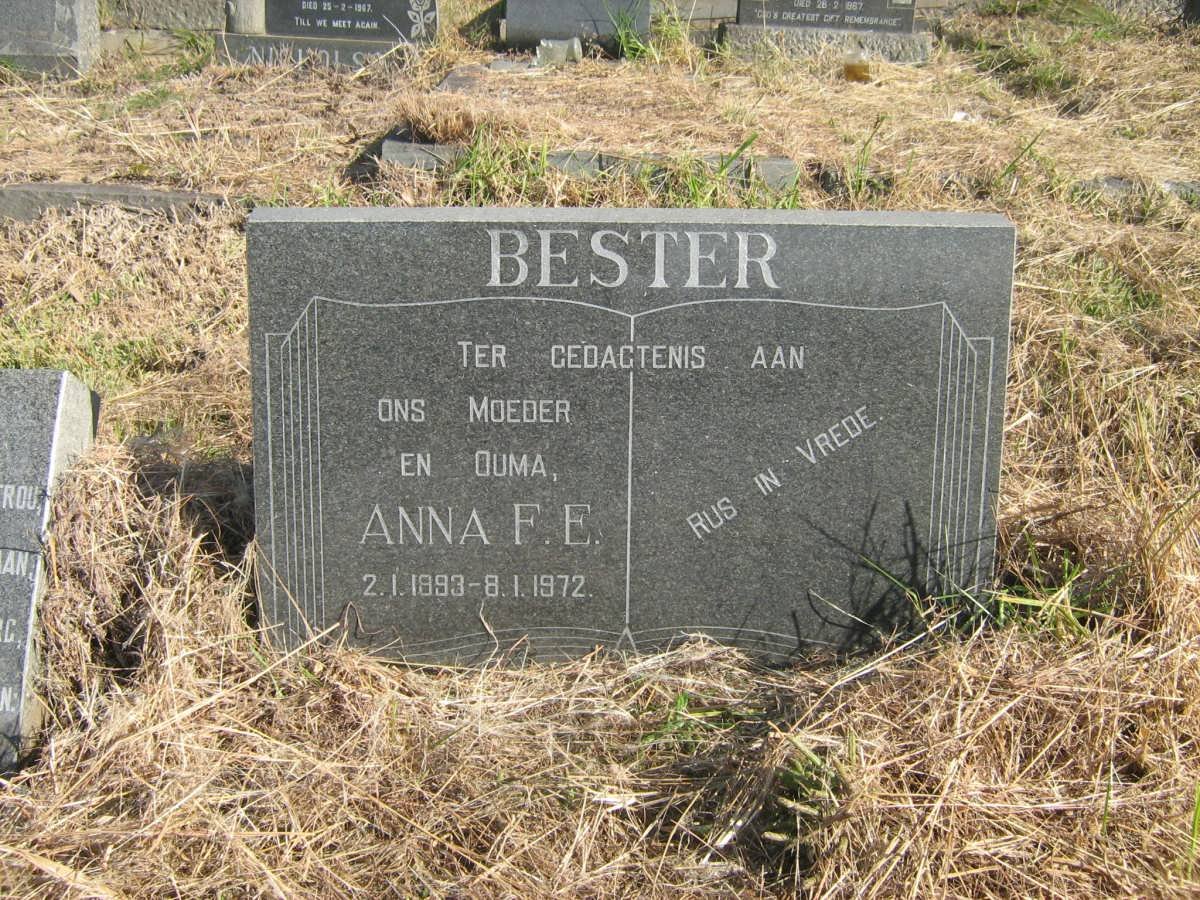 BESTER Anna F.E. 1893-1972