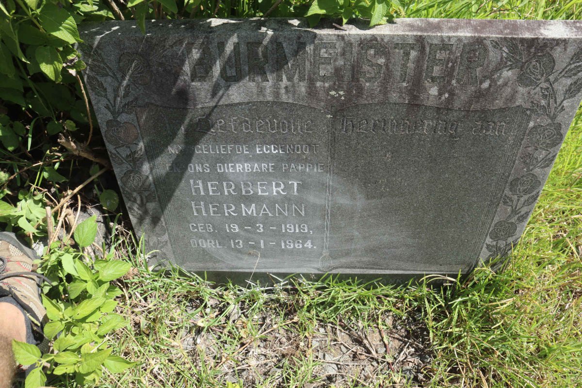 BURMEISTER Herbert Hermann 1919-1964