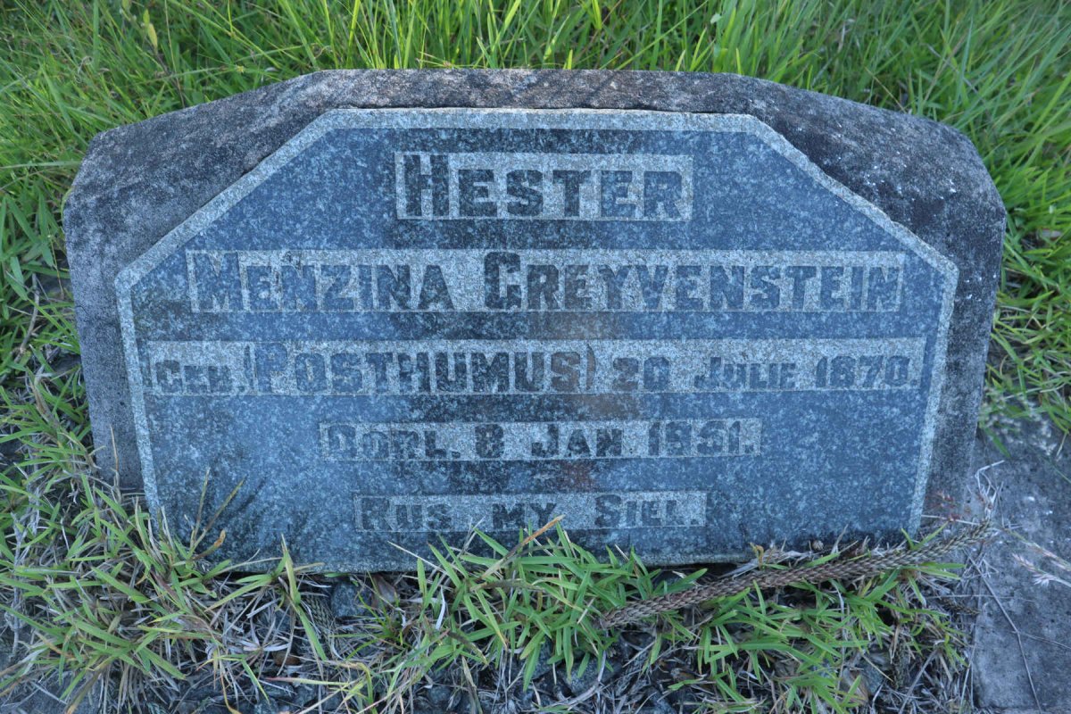 GREYVENSTEIN Hester Menzina nee POSTHUMUS 1870-1951