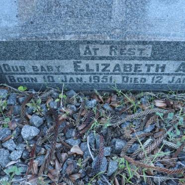 NEWCOMBE Cecil John Powesland 1911-1955 :: NEWCOMBE Elizabeth Anne 1951-1951