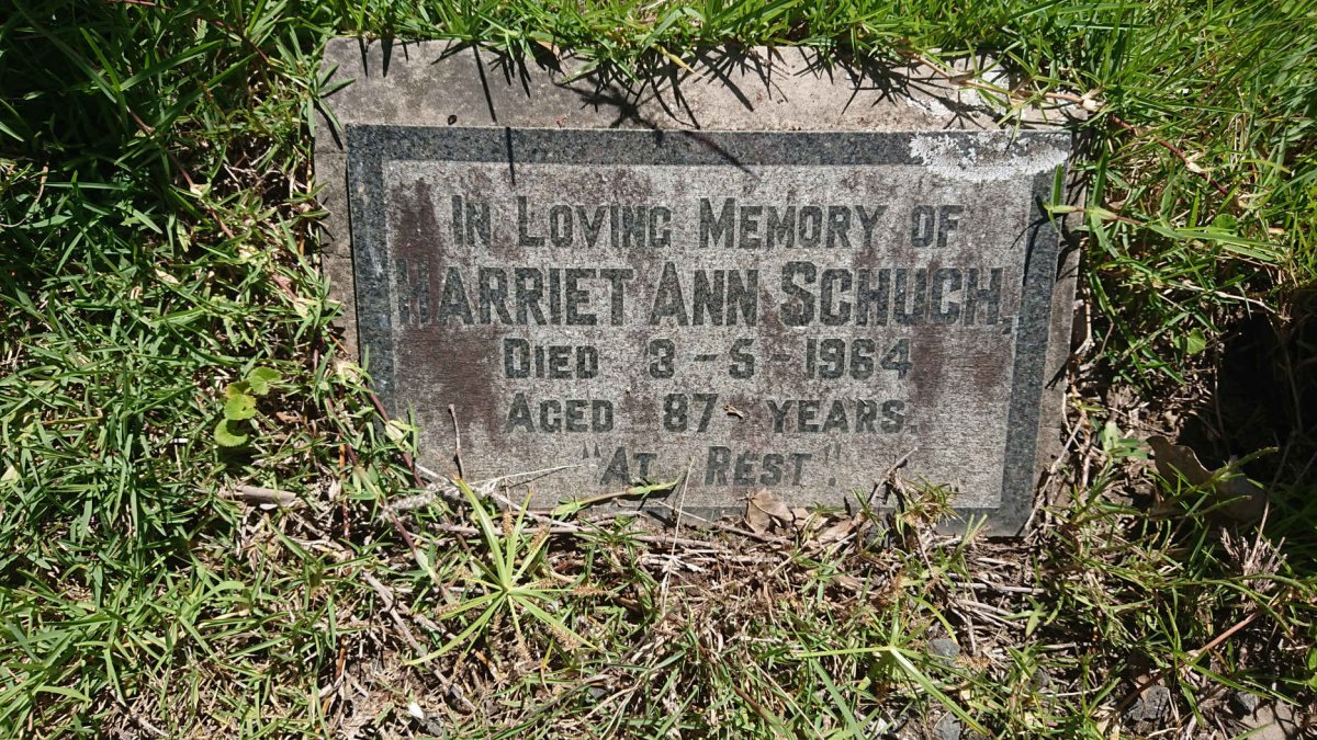 SCHUCH Harriet Ann -1964
