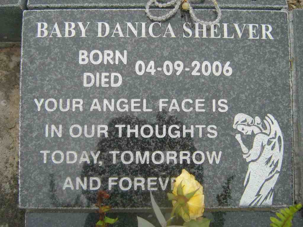 SHELVER Danica 2006-2006