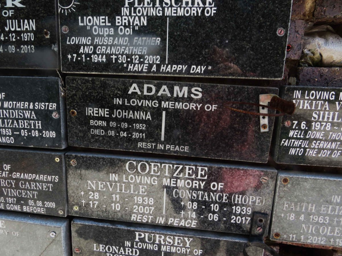 ADAMS Irene Johanna 1952-2011