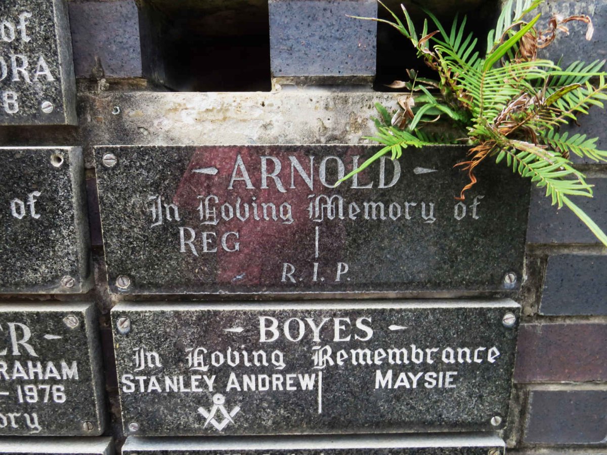 ARNOLD Reg