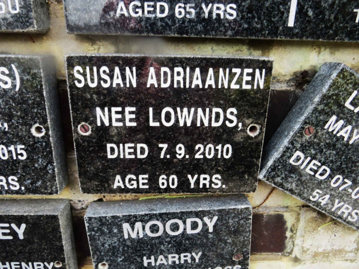 ADRIAANZEN Susan nee LOWNDS -2010