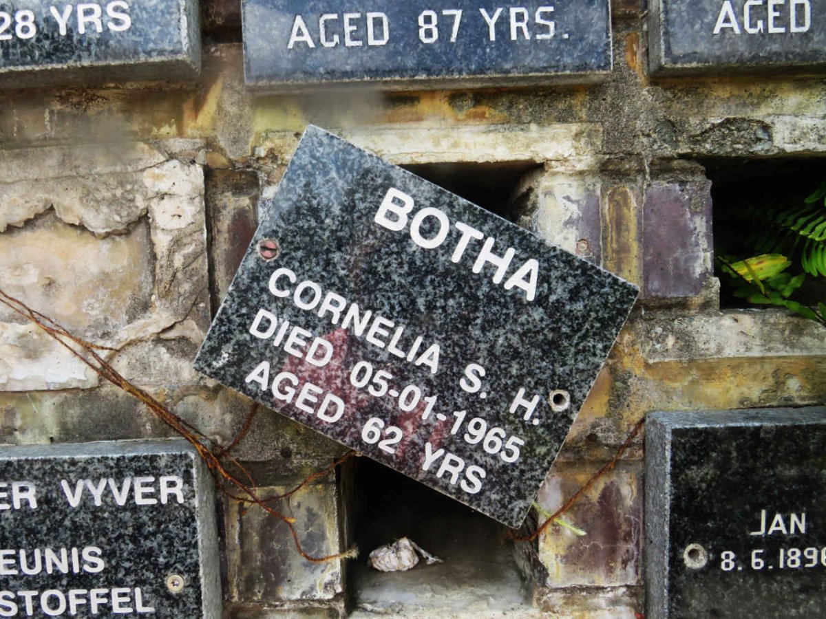 BOTHA Cornelia S.H. -1965